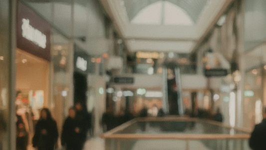 Alles ist käuflich: Wie die Konsumkultur uns verändert